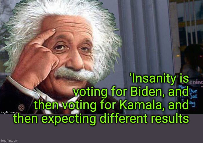 'Insanity is voting for Biden, and then voting for Kamala, and then expecting different results | 'Insanity is
voting for Biden, and
then voting for Kamala, and
then expecting different results | image tagged in roll safe einstein,kamala,harris walz | made w/ Imgflip meme maker