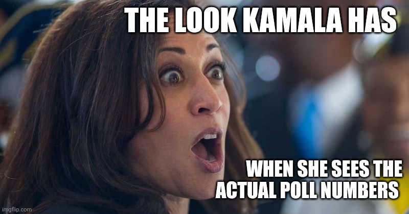 Actual poll Numbers | THE LOOK KAMALA HAS; WHEN SHE SEES THE
ACTUAL POLL NUMBERS | image tagged in kamala harriss | made w/ Imgflip meme maker