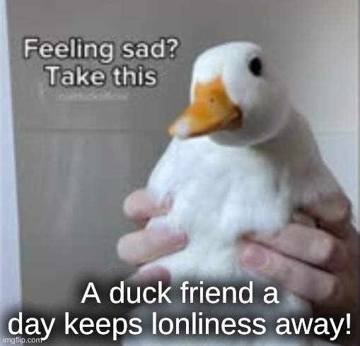 Holy Duck™ | A duck friend a day keeps lonliness away! | image tagged in holy duck | made w/ Imgflip meme maker