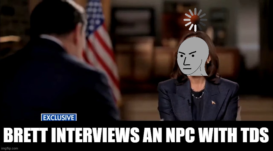 NPC WITH TDS | BRETT INTERVIEWS AN NPC WITH TDS | made w/ Imgflip meme maker