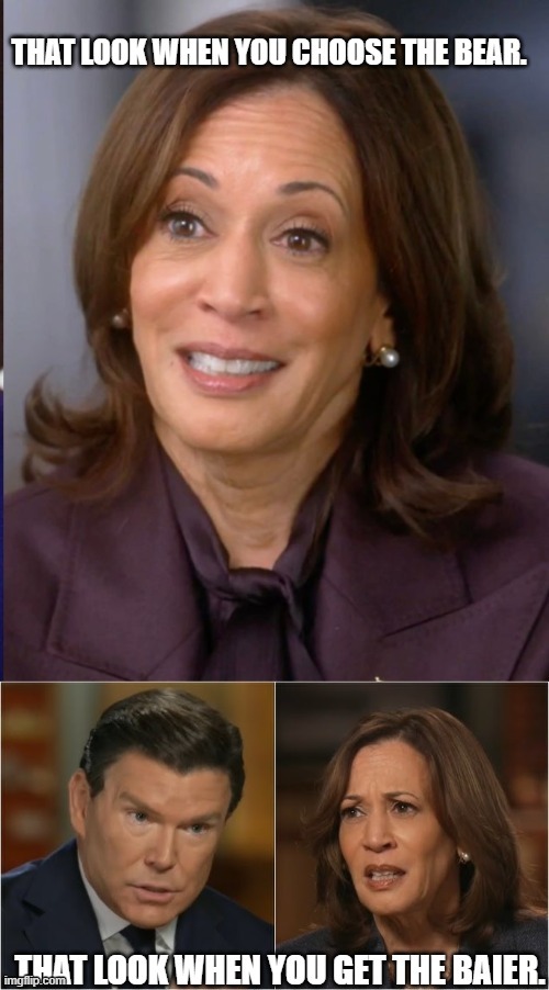 She got the Baier | image tagged in baier,kamala | made w/ Imgflip meme maker