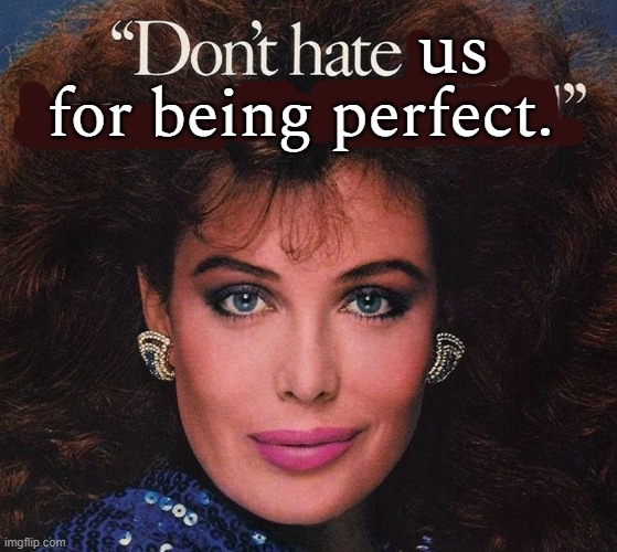 Don't hate | for being perfect. us | image tagged in don't hate | made w/ Imgflip meme maker