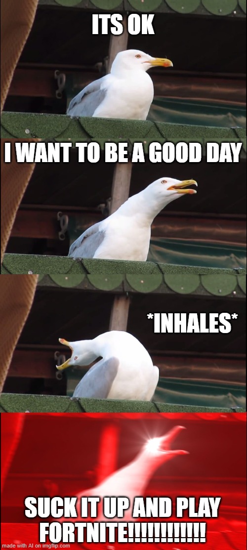 Inhaling Seagull | ITS OK; I WANT TO BE A GOOD DAY; *INHALES*; SUCK IT UP AND PLAY FORTNITE!!!!!!!!!!!! | image tagged in memes,inhaling seagull | made w/ Imgflip meme maker