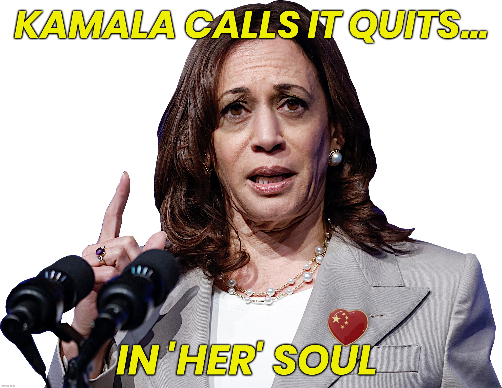 KAMALA QUITS...? | KAMALA CALLS IT QUITS... IN 'HER' SOUL | image tagged in kamala harris,quits,biden,coup,liar,soul | made w/ Imgflip meme maker