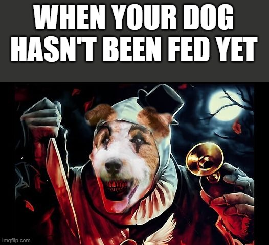 When Your Dog Hasn't Been Fed Yet | WHEN YOUR DOG HASN'T BEEN FED YET | image tagged in dog,fed,terrifier 3,knife,funny,memes | made w/ Imgflip meme maker