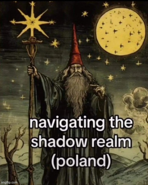 Navigating the shadow realm | image tagged in navigating the shadow realm | made w/ Imgflip meme maker