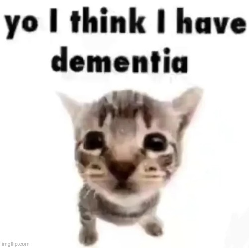 cat | image tagged in i love cats | made w/ Imgflip meme maker