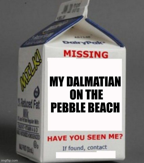 Milk carton | MY DALMATIAN  ON THE PEBBLE BEACH | image tagged in milk carton | made w/ Imgflip meme maker