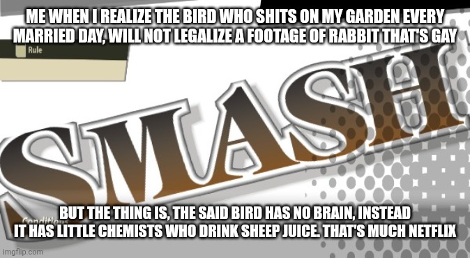 smash | ME WHEN I REALIZE THE BIRD WHO SHITS ON MY GARDEN EVERY MARRIED DAY, WILL NOT LEGALIZE A FOOTAGE OF RABBIT THAT'S GAY; BUT THE THING IS, THE SAID BIRD HAS NO BRAIN, INSTEAD IT HAS LITTLE CHEMISTS WHO DRINK SHEEP JUICE. THAT'S MUCH NETFLIX | image tagged in smash | made w/ Imgflip meme maker