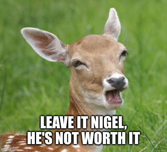 Go Home Bambi, You're Drunk | LEAVE IT NIGEL, HE'S NOT WORTH IT | image tagged in go home bambi you're drunk | made w/ Imgflip meme maker