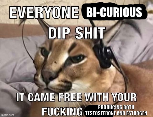 Everyone has X Dip Shit | BI-CURIOUS; PRODUCING BOTH TESTOSTERONE AND ESTROGEN | image tagged in everyone has x dip shit | made w/ Imgflip meme maker