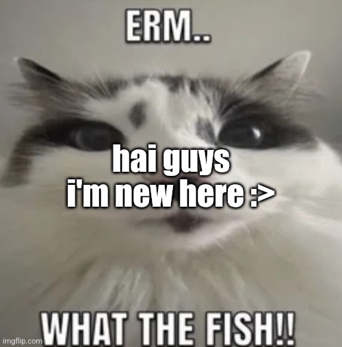 :3 | i'm new here :>; hai guys | image tagged in erm what the fish | made w/ Imgflip meme maker