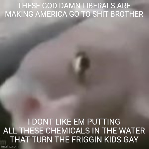 THEY PUTTING PRONOUNIUM IN THE WATER TOO | THESE GOD DAMN LIBERALS ARE MAKING AMERICA GO TO SHIT BROTHER; I DONT LIKE EM PUTTING ALL THESE CHEMICALS IN THE WATER THAT TURN THE FRIGGIN KIDS GAY | image tagged in fih | made w/ Imgflip meme maker