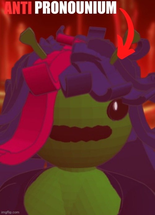 VOTE PEANOID CLAIRE FOR PREDISENT | ANTI; PRONOUNIUM | made w/ Imgflip meme maker
