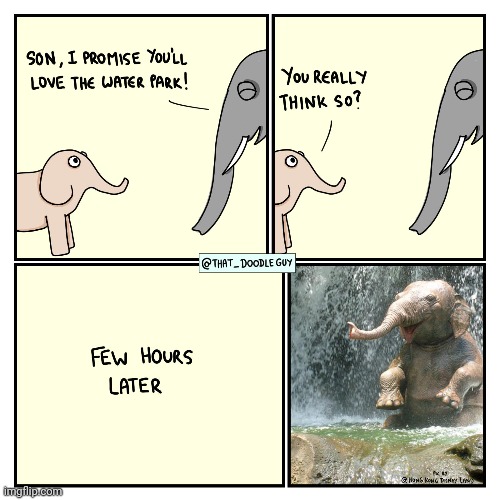 Water park | image tagged in water,water park,elephants,elephant,comics,comics/cartoons | made w/ Imgflip meme maker