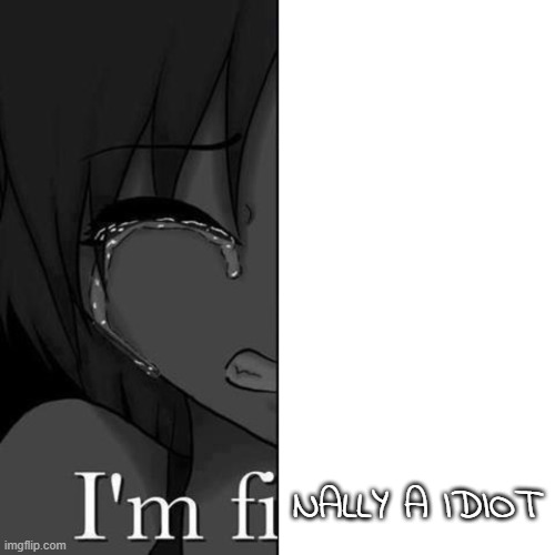 I'm fi | NALLY A IDIOT | image tagged in i'm fi | made w/ Imgflip meme maker