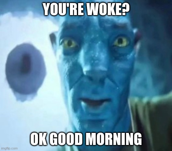 Avatar guy | YOU'RE WOKE? OK GOOD MORNING | image tagged in avatar guy | made w/ Imgflip meme maker