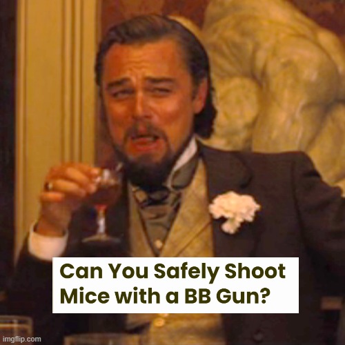 Laughing Leo Meme | image tagged in memes,laughing leo | made w/ Imgflip meme maker