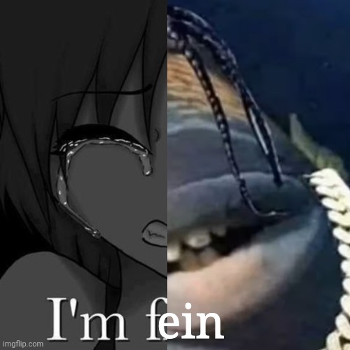 Fein Fein Fein Fein Fein Fein Fein Fein | ein | image tagged in fein | made w/ Imgflip meme maker