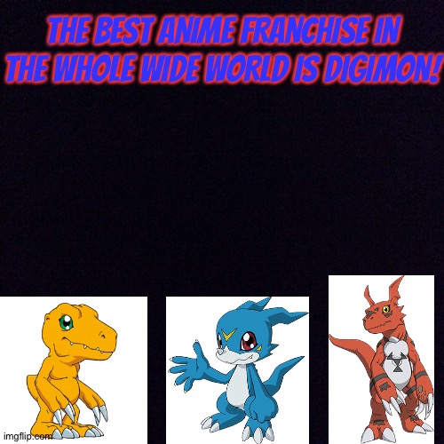 Digimon is 100% still the best! | THE BEST ANIME FRANCHISE IN THE WHOLE WIDE WORLD IS DIGIMON! | image tagged in black screen | made w/ Imgflip meme maker