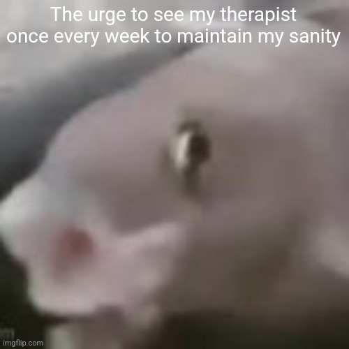 fih | The urge to see my therapist once every week to maintain my sanity | image tagged in fih | made w/ Imgflip meme maker