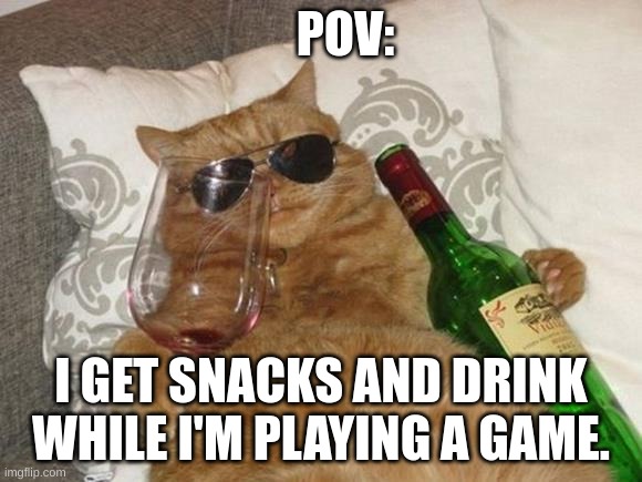 Funny Cat Birthday | POV:; I GET SNACKS AND DRINK WHILE I'M PLAYING A GAME. | image tagged in funny cat birthday | made w/ Imgflip meme maker