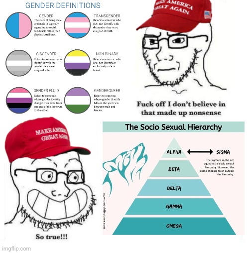 Socio-sexual hierarchy is the right's equivalent of LGBTQ+ gender ideology | image tagged in maga so true,lgbtq,gender identity,gender confusion,conservative hypocrisy,toxic masculinity | made w/ Imgflip meme maker