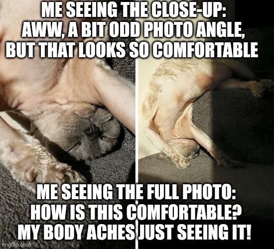 Cat sleeping | ME SEEING THE CLOSE-UP: AWW, A BIT ODD PHOTO ANGLE, BUT THAT LOOKS SO COMFORTABLE; ME SEEING THE FULL PHOTO: HOW IS THIS COMFORTABLE? MY BODY ACHES JUST SEEING IT! | image tagged in cat sleeping | made w/ Imgflip meme maker