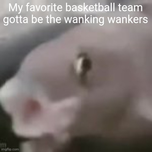 fih | My favorite basketball team gotta be the wanking wankers | image tagged in fih | made w/ Imgflip meme maker