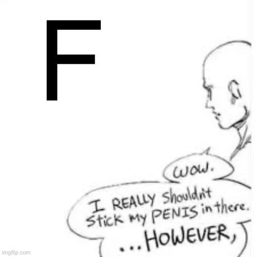 Literally a key of the English lexicon | F | image tagged in wow i really shouldn't stick my- | made w/ Imgflip meme maker