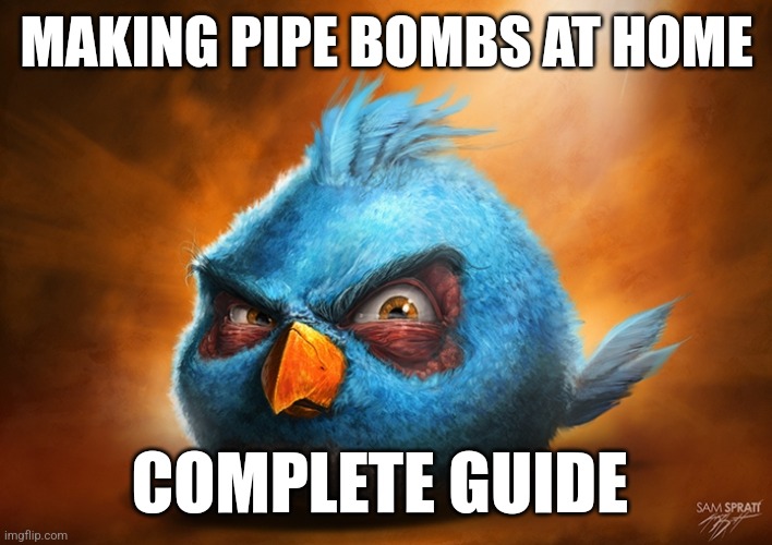 Pipe bomb | MAKING PIPE BOMBS AT HOME; COMPLETE GUIDE | image tagged in angry birds blue,pipe bomb,mailbox | made w/ Imgflip meme maker