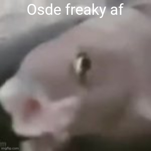 fih | Osde freaky af | image tagged in fih | made w/ Imgflip meme maker
