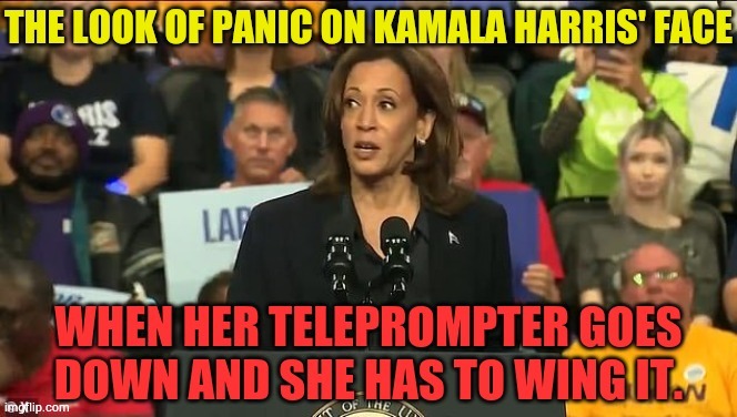 Everybody Saw It | image tagged in memes,kamala harris,teleprompter,goes,down,panic attack | made w/ Imgflip meme maker