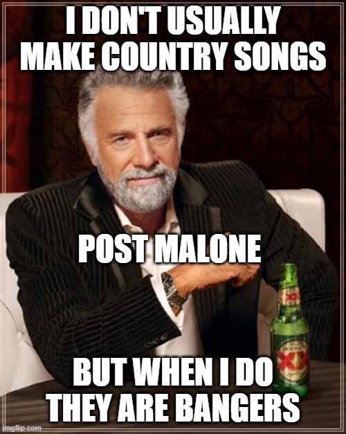 "I had some help" | I DON'T USUALLY MAKE COUNTRY SONGS; POST MALONE; BUT WHEN I DO THEY ARE BANGERS | image tagged in memes,the most interesting man in the world | made w/ Imgflip meme maker