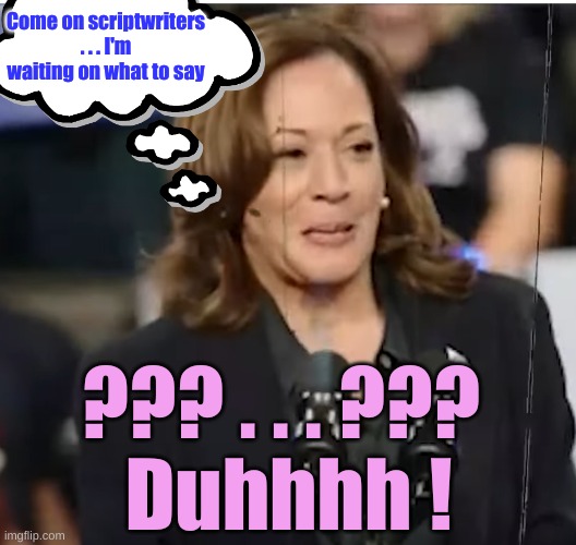 Kamala Lost | ??? . . . ??? 
Duhhhh ! Come on scriptwriters . . . I'm waiting on what to say | image tagged in kamala lost | made w/ Imgflip meme maker