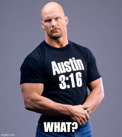 Stone Cold Steve Austin | WHAT? | image tagged in stone cold steve austin | made w/ Imgflip meme maker