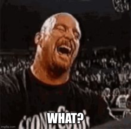 Stone Cold Laughing | WHAT? | image tagged in stone cold laughing | made w/ Imgflip meme maker