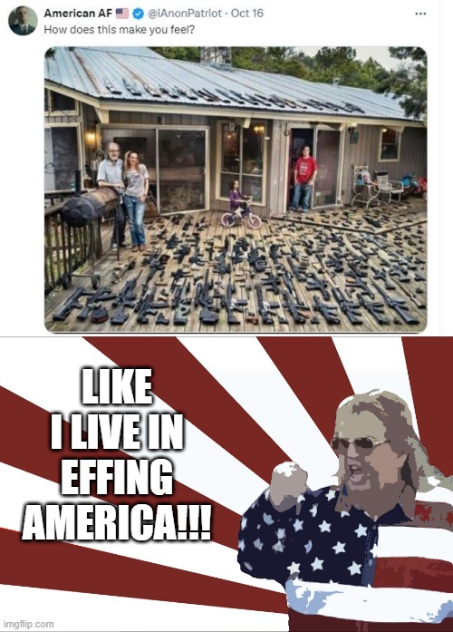 Merica! | LIKE I LIVE IN EFFING AMERICA!!! | image tagged in 'merica | made w/ Imgflip meme maker