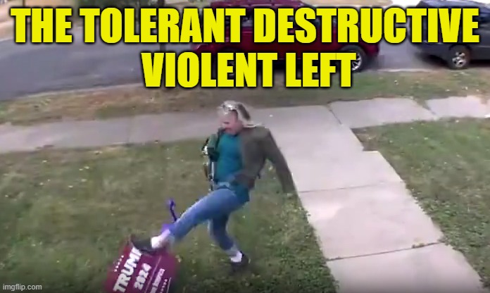 The tolerant left! | THE TOLERANT DESTRUCTIVE
 VIOLENT LEFT | image tagged in kamala harris,vice president,tolerance,maga,make america great again,trump | made w/ Imgflip meme maker