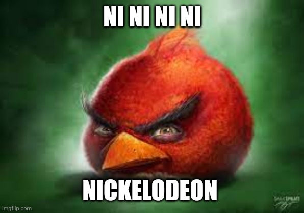 Chill it's not the n word | NI NI NI NI; NICKELODEON | image tagged in realistic red angry birds | made w/ Imgflip meme maker