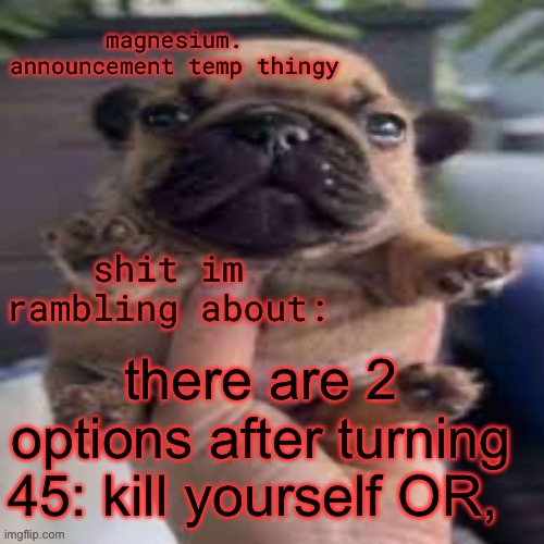 pug temp | there are 2 options after turning 45: kill yourself OR, | image tagged in pug temp | made w/ Imgflip meme maker