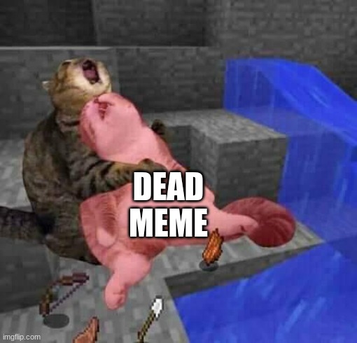 Dead minecraft cat meme | DEAD MEME | image tagged in dead minecraft cat meme | made w/ Imgflip meme maker