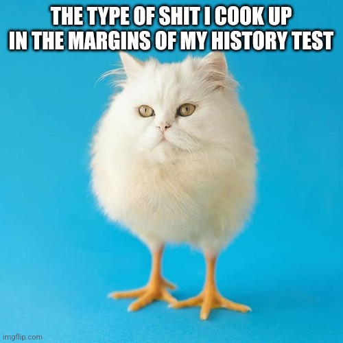 egg shaped cat with chicken feet | THE TYPE OF SHIT I COOK UP IN THE MARGINS OF MY HISTORY TEST | image tagged in egg shaped cat with chicken feet | made w/ Imgflip meme maker