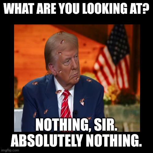 Cockroaches for Trump | WHAT ARE YOU LOOKING AT? NOTHING, SIR. ABSOLUTELY NOTHING. | image tagged in donald trump,cockroaches,traitor,dictator | made w/ Imgflip meme maker