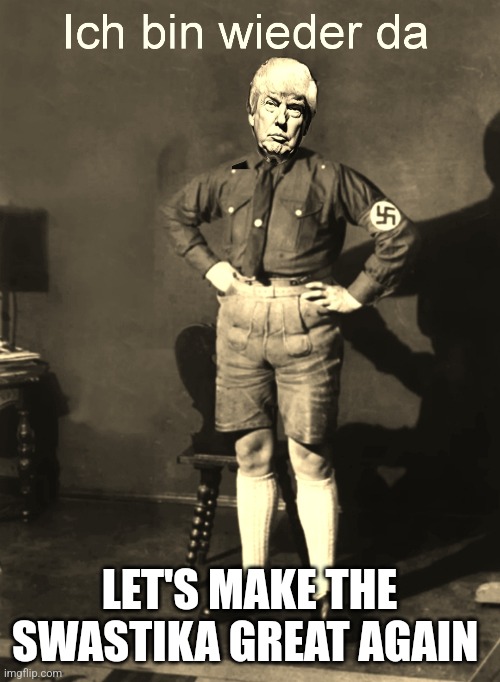 Donald Hitler | LET'S MAKE THE SWASTIKA GREAT AGAIN | image tagged in hitler,trump,fascists,nutzi | made w/ Imgflip meme maker