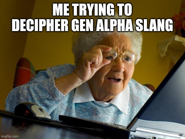 Old lady at computer finds the Internet | ME TRYING TO DECIPHER GEN ALPHA SLANG | image tagged in old lady at computer finds the internet | made w/ Imgflip meme maker