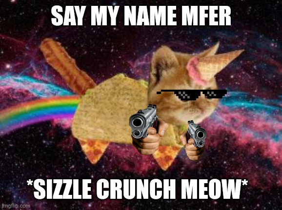 Say my name, it's Bacon Taco Car | SAY MY NAME MFER; *SIZZLE CRUNCH MEOW* | image tagged in bacon taco cat,cat,bacon,taco,funny memes,memecoin | made w/ Imgflip meme maker