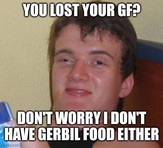 10 Guy | YOU LOST YOUR GF? DON'T WORRY I DON'T HAVE GERBIL FOOD EITHER | image tagged in memes,10 guy | made w/ Imgflip meme maker