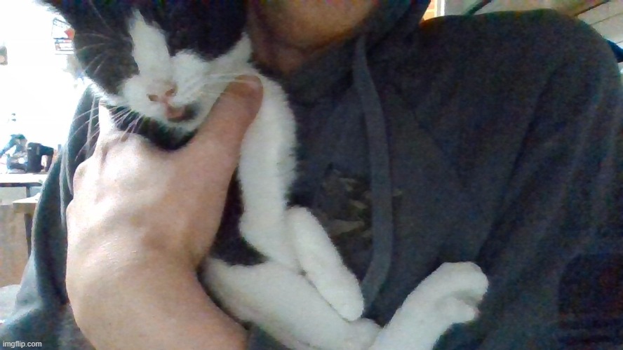 My kitty is blepping :DDD | made w/ Imgflip meme maker