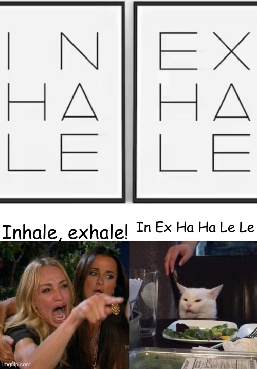 woman yelling at cat | Inhale, exhale! In Ex Ha Ha Le Le | image tagged in memes,woman yelling at cat | made w/ Imgflip meme maker